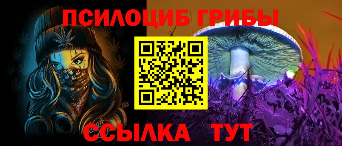 Вольск  Галлюциногенные грибы MAGIC MUSHROOMS  Псилоцибиновые грибы Cubensis  Вход с VPN 